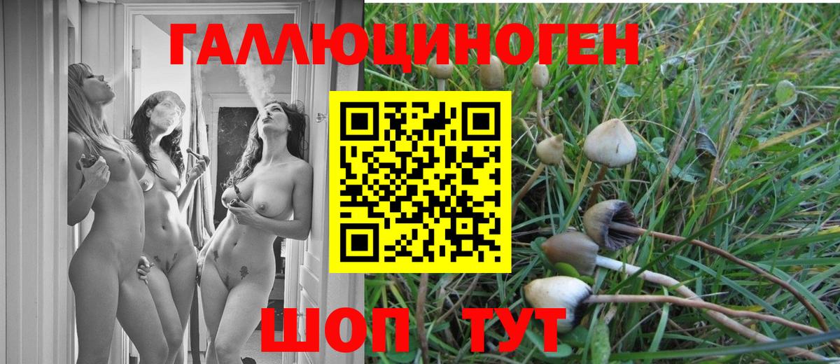 Галлюциногенные грибы Cubensis  где можно купить   Уссурийск  Вход с VPN 